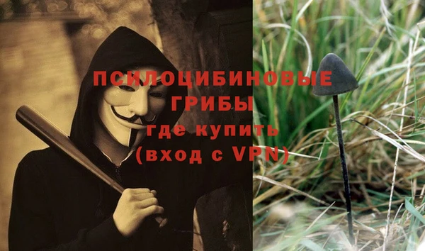 мескалин Надым