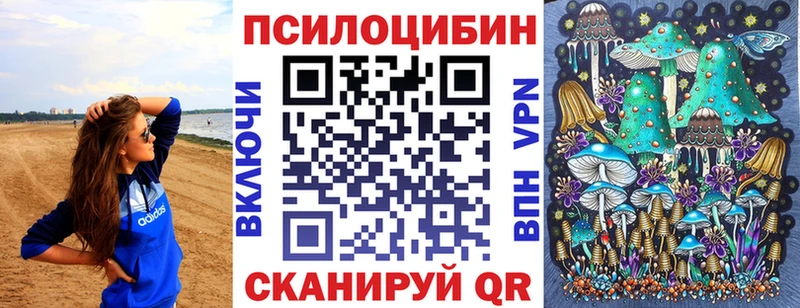 Псилоцибиновые грибы Psilocybine cubensis  Купить  Прохладный 